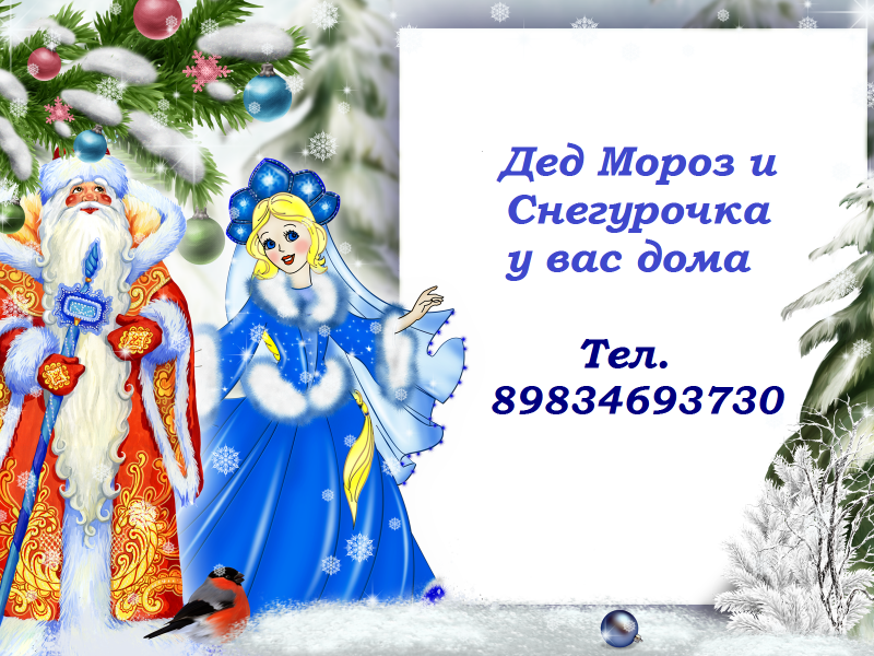 Ирина:  Дед Мороз и Снегурочка у вас дома!