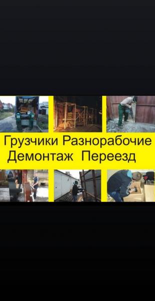 Руслан:  Разнорабочие грузчики тимуровцы Уфа