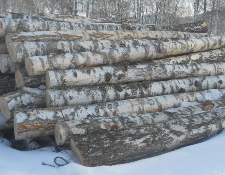 Семен:  Купить дрова оптом в Алтайском крае