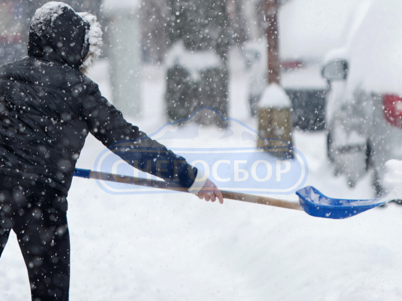 Александр Снегосбор:  Уборка снега в Санкт-Петербурге и Ленобласти