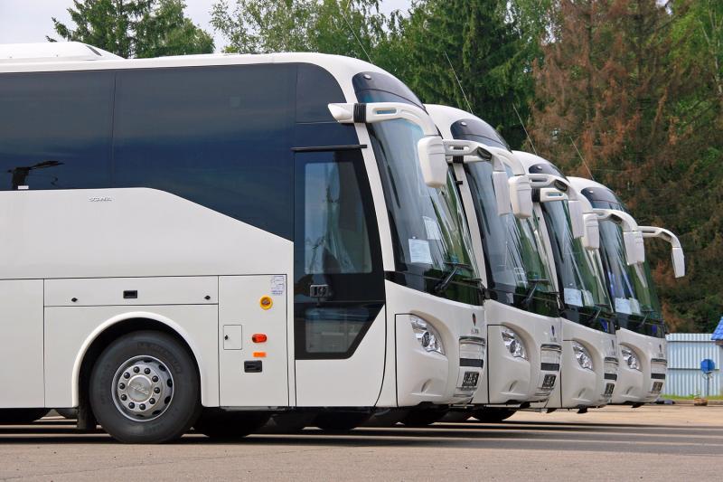 Вера:  Пассажирские перевозки автобусами