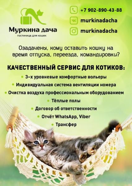 Муркина Дача:  Специализированная гостиница для кошек, передержка кошек