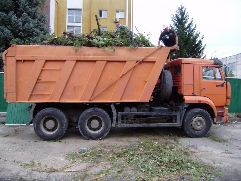 Алексей:  Вывоз строительного мусора самосвалов 