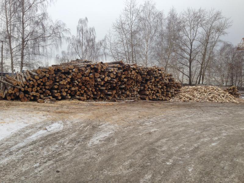 Олег:  Березовые и осиновые дрова