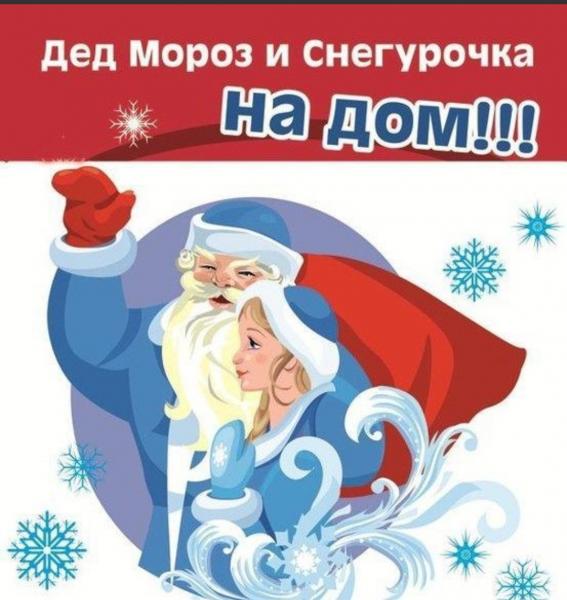 Дмитрий:  Дед Мороз и Снегурочка на дом