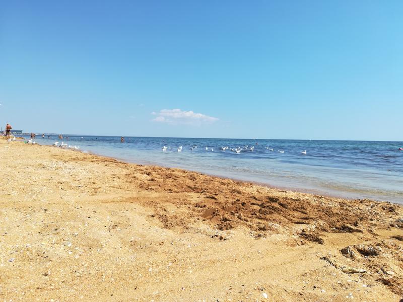 Песок калуга. Золотые Пески Калуга. Белые Пески Калуга.