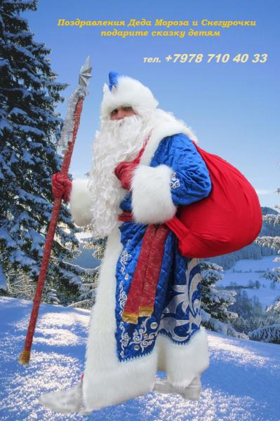 Сергей:  Дед Мороз и Снегурочка на дом