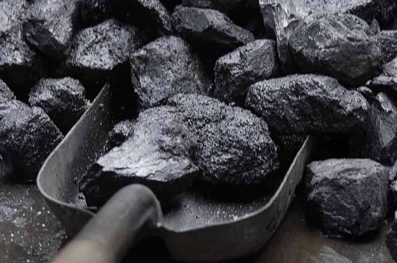 Павел:  Продажа и доставка каменного угля в Гатчине