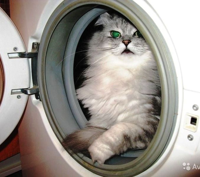 Виктор:  Ремонт стиральных машин