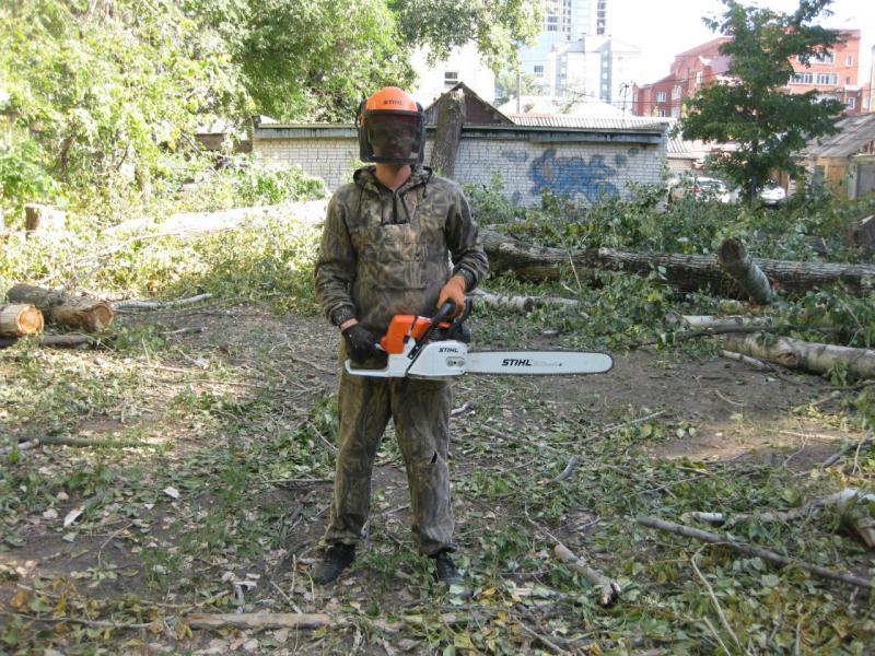 Алексей:  Спиливание деревьев, Вырубка кустарника, Расчистка участка