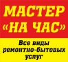 Сколько стоит подстричь кошку в волгодонске