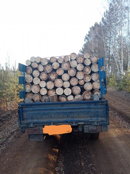 Дмитрий:  Продаю дрова