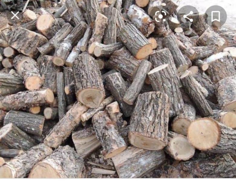 Дрова твердые породы!