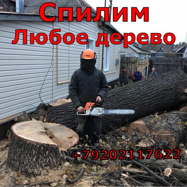 Алексей:  Спиливание деревьев 