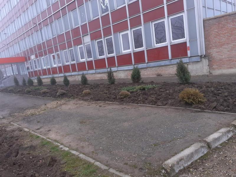 Озеленение.Спил деревьев.Удаление пня.Земельные работы.