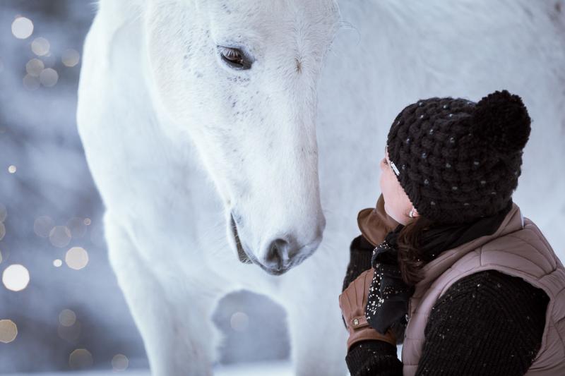 Ирина :  фотосессии с лошадьми