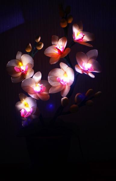 Надежда:  Цветы - светильники ручной  работы
